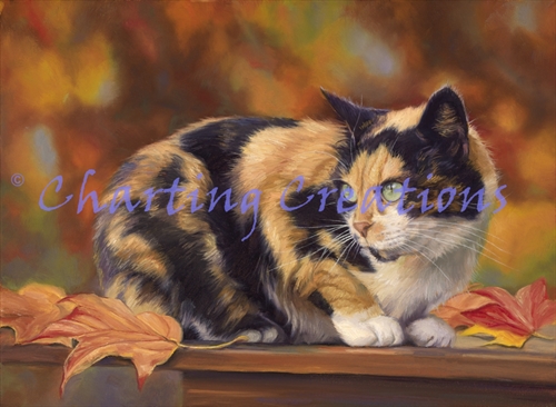Calico In The Fall